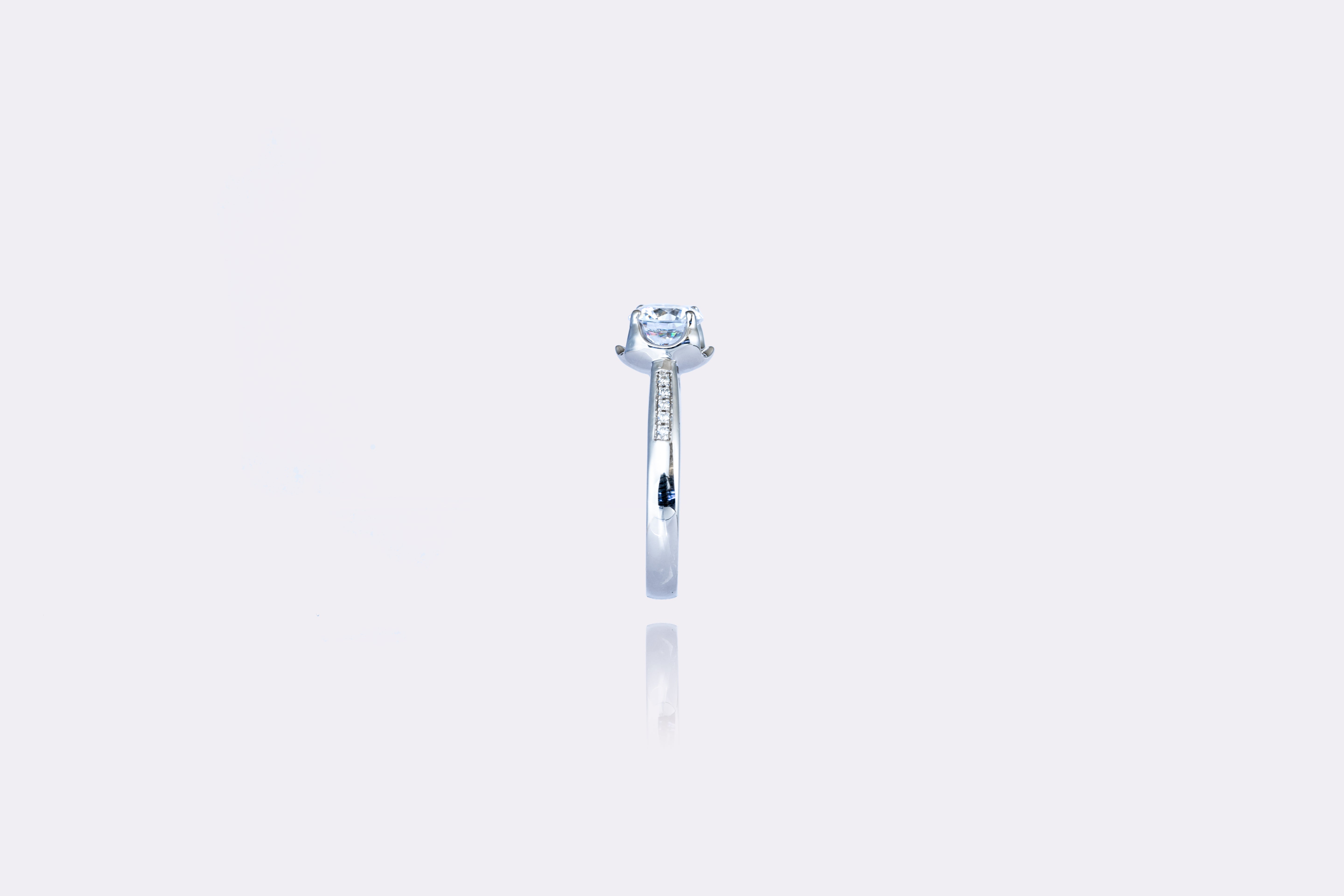 Celestial Diamond Engagement Ring